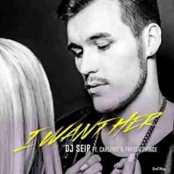 Instrumental: DJ Seip - I Want Her (Prod. By DJ Seip)